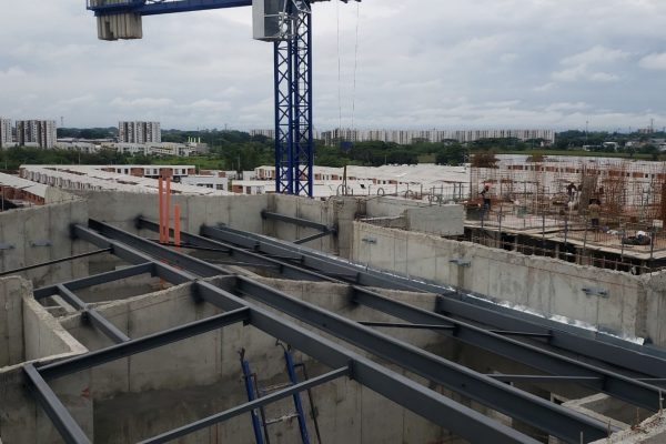 Cubierta Proyecto Roseto